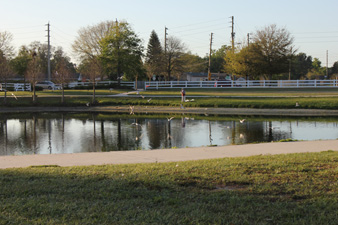 Barber Park