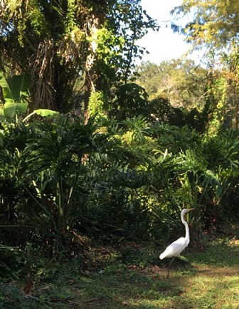 South Lake Mann Park