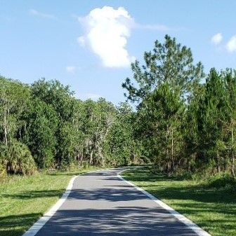 Shingle Creek Trail