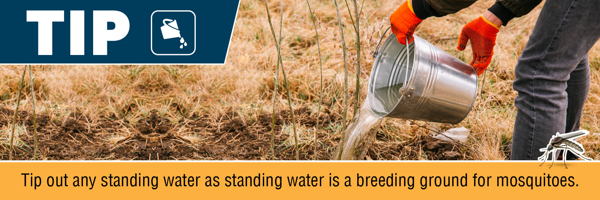 TIP - Tip out any standing water as standing water is a breeding ground for mosquitoes.