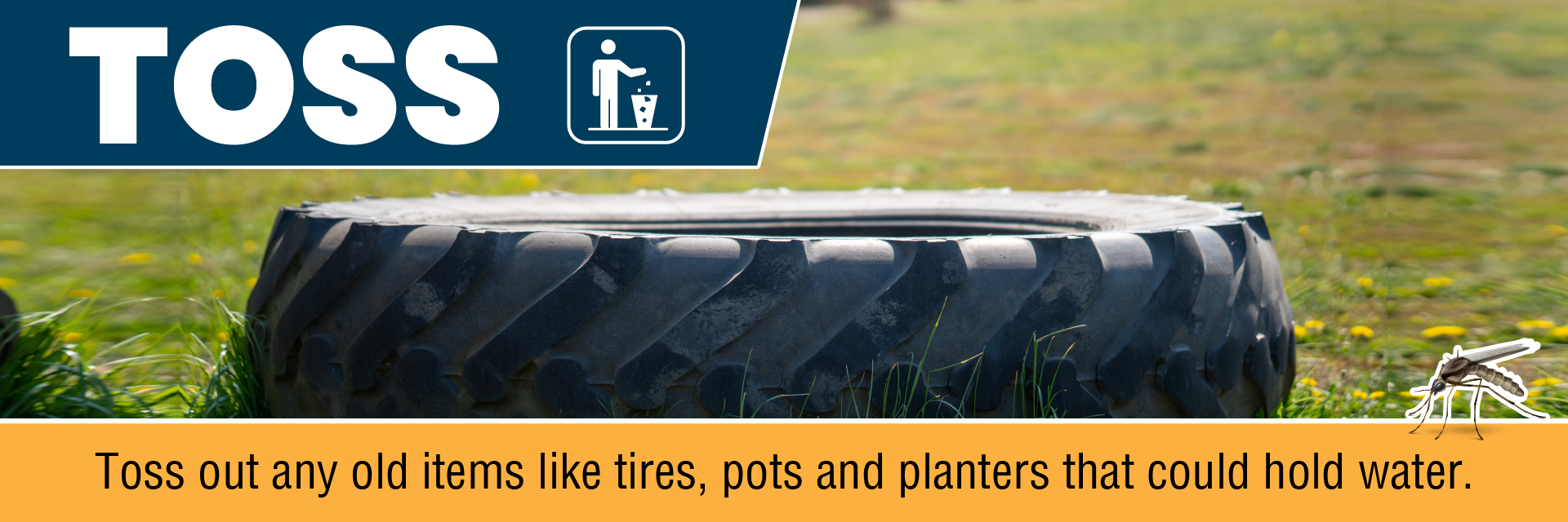 TOSS - Toss out any old items like tires, pots and planters that could hold water.
