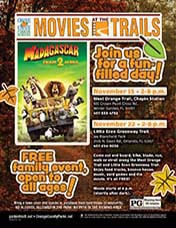 Madagascar 2 movie flyer
