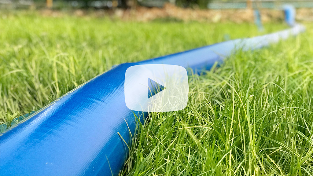 Blue hose through grass