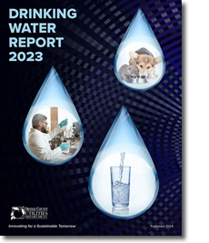 Foto de la portada del informe de agua potable