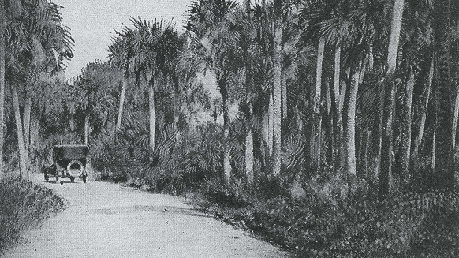 1924 Edgewood