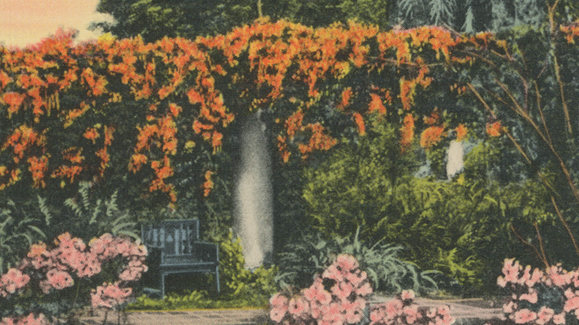 1892 Oakland