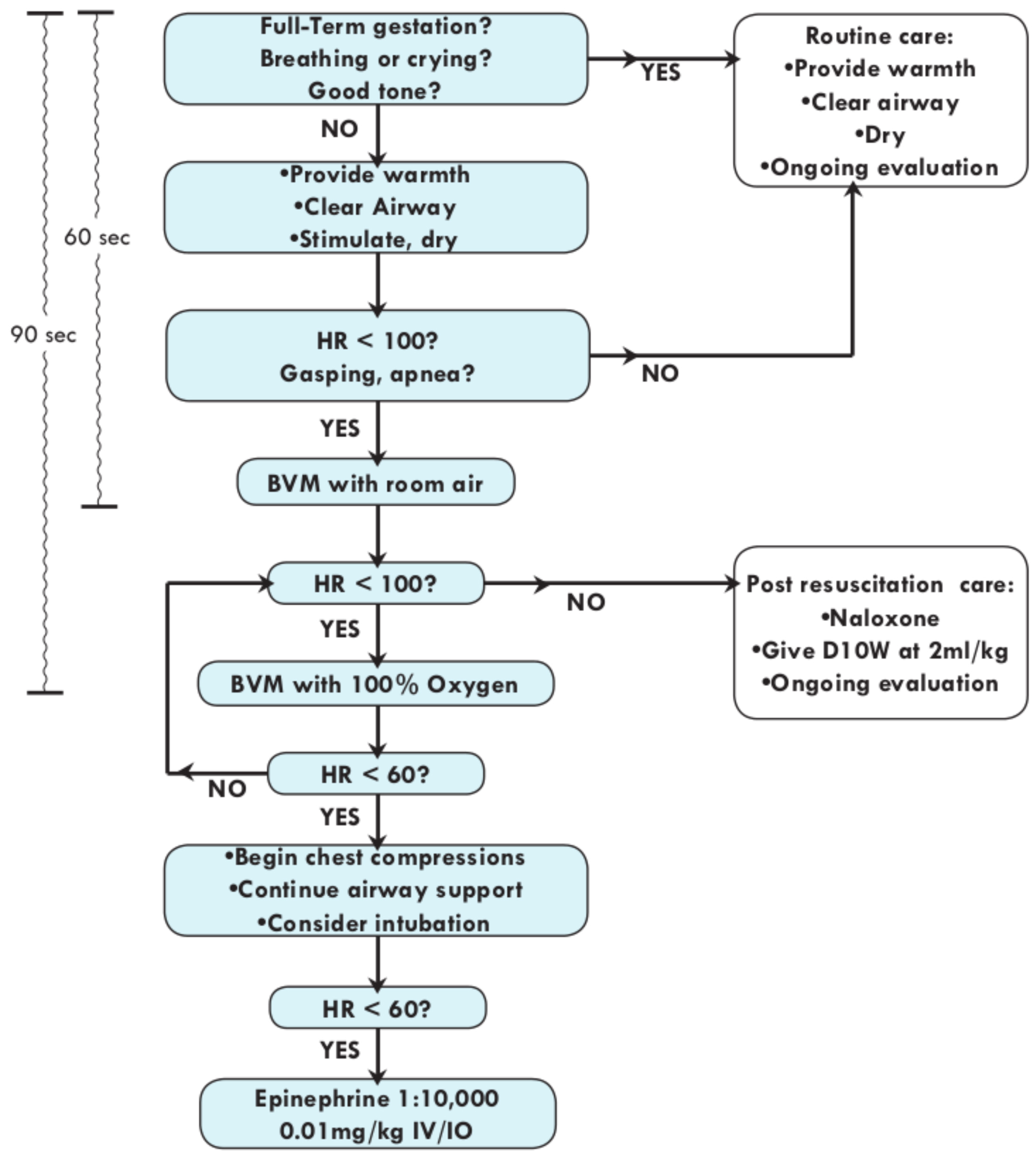 Apgar Scoring Chart For Newborns